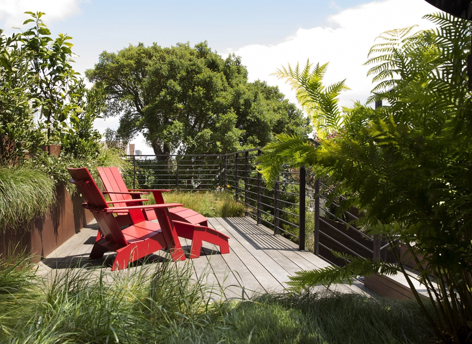 noe valley Ⅱ by feldman architecture