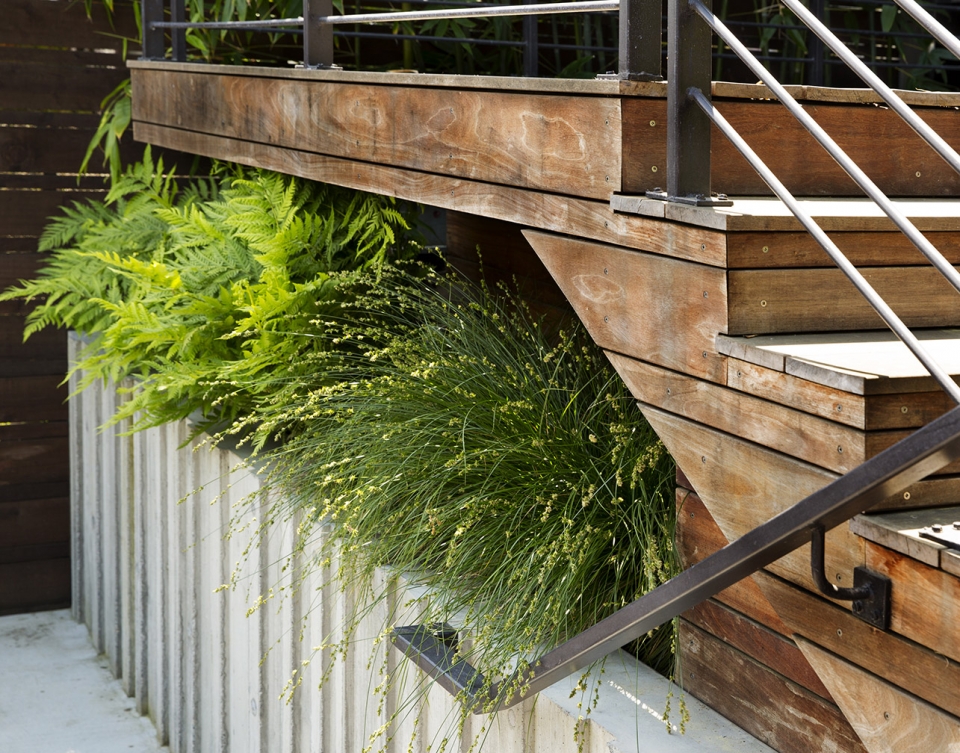 noe valley Ⅱ by feldman architecture
