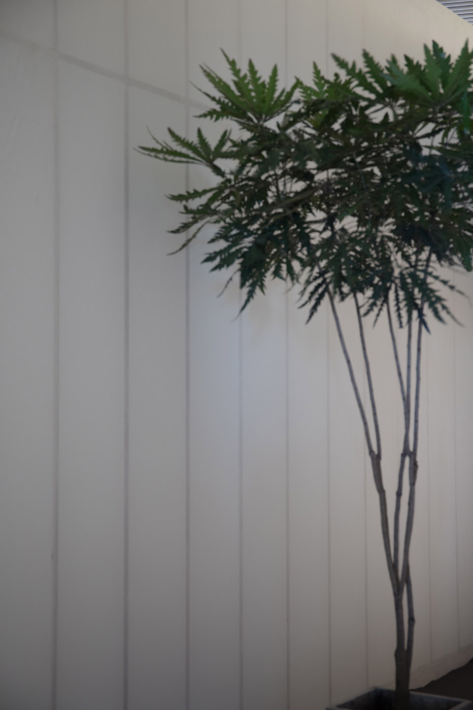 poltrona frau paper installation by out in interior design office