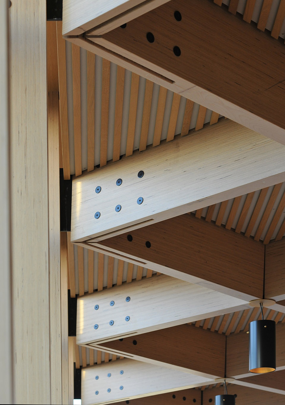 peter hall performing arts centre at the perse school by haworth tompkins