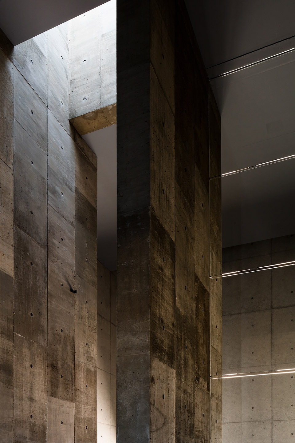 tranquil house by formkouichi kimora architects