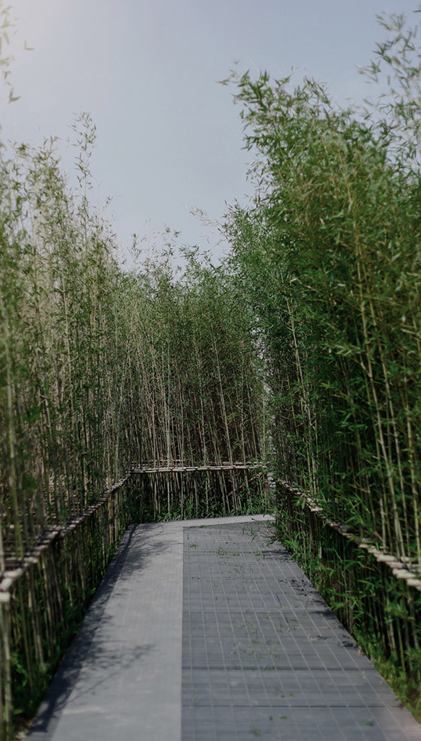 yun shang xi tang wetland resort complex china by iapa