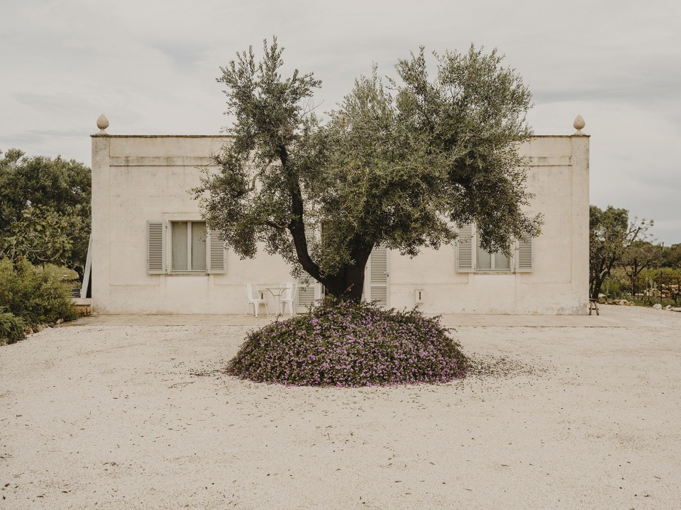 villa castelluccio by studio andrew trotter