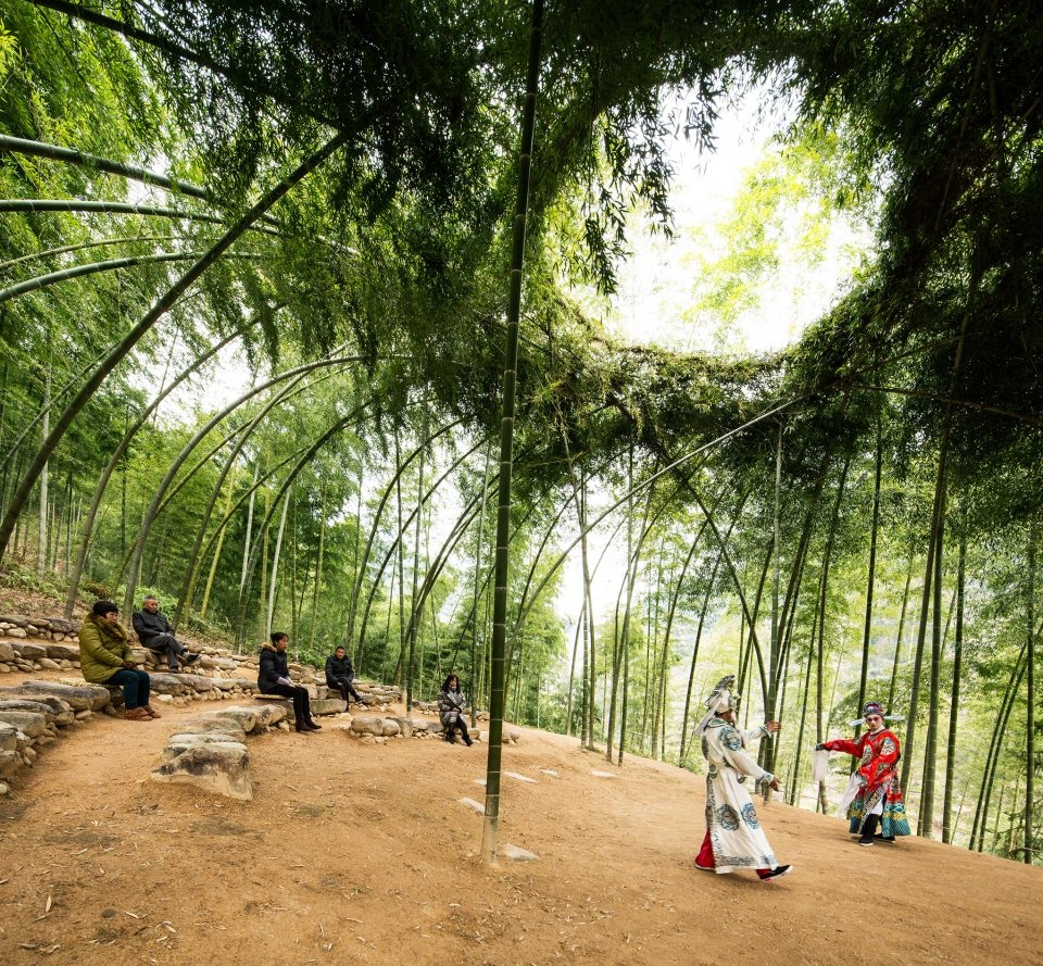Bamboo Theatre DnA 960x889