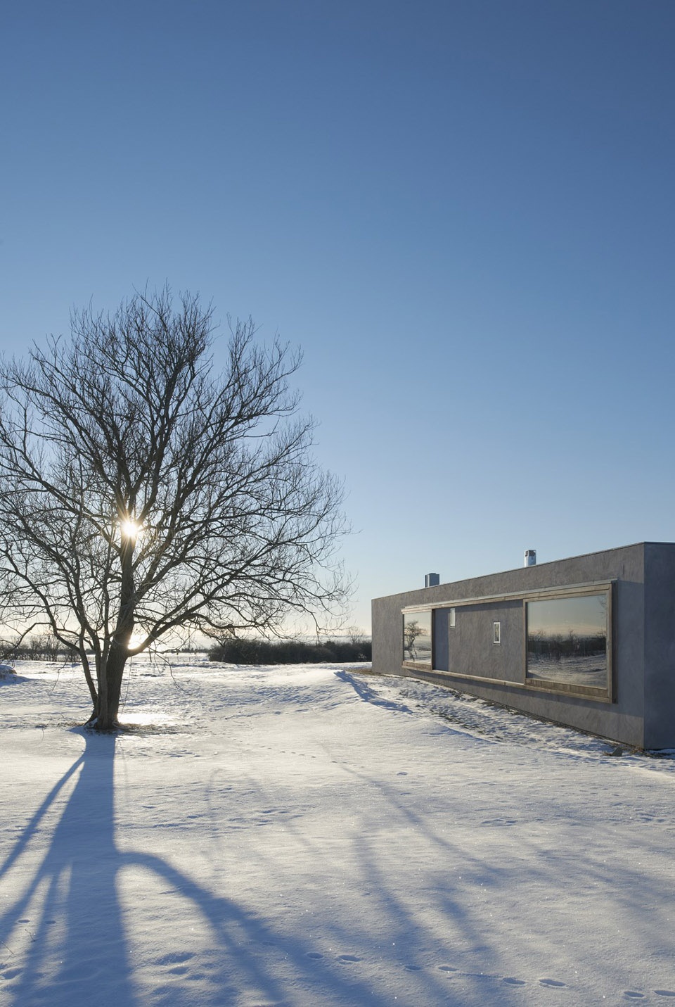 atrium house by tham videgard arkitekter