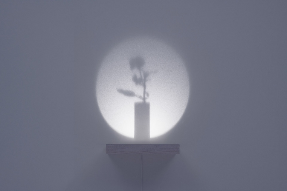 object by yoy