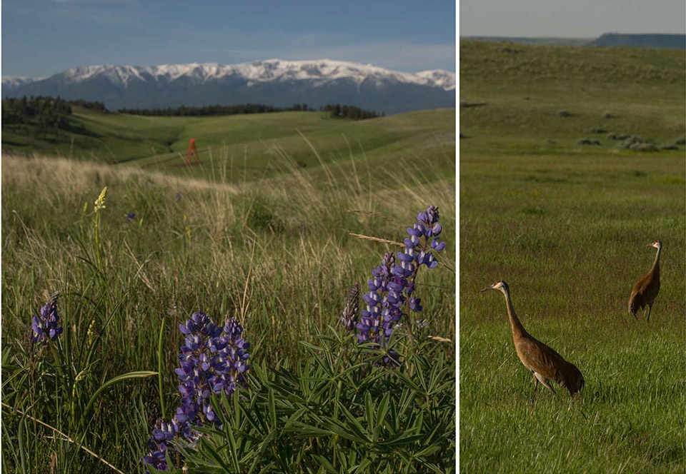 2018 asla general design award of honor tippet rise art center by ovs