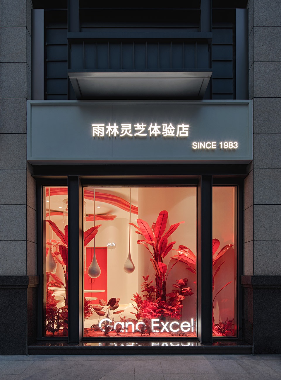 rain forest ganoderma lucidum experience store china by mod