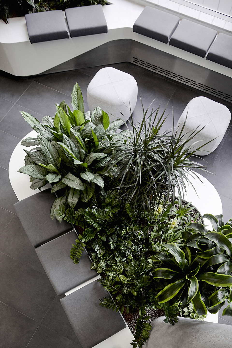 ey offices by lab5 architects