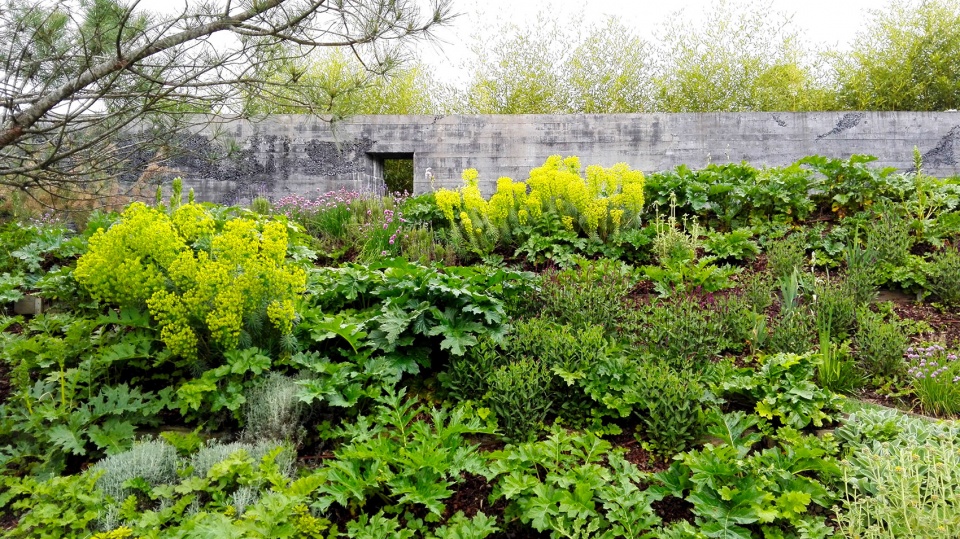 garden of seven moments by atelier de molfetta strode