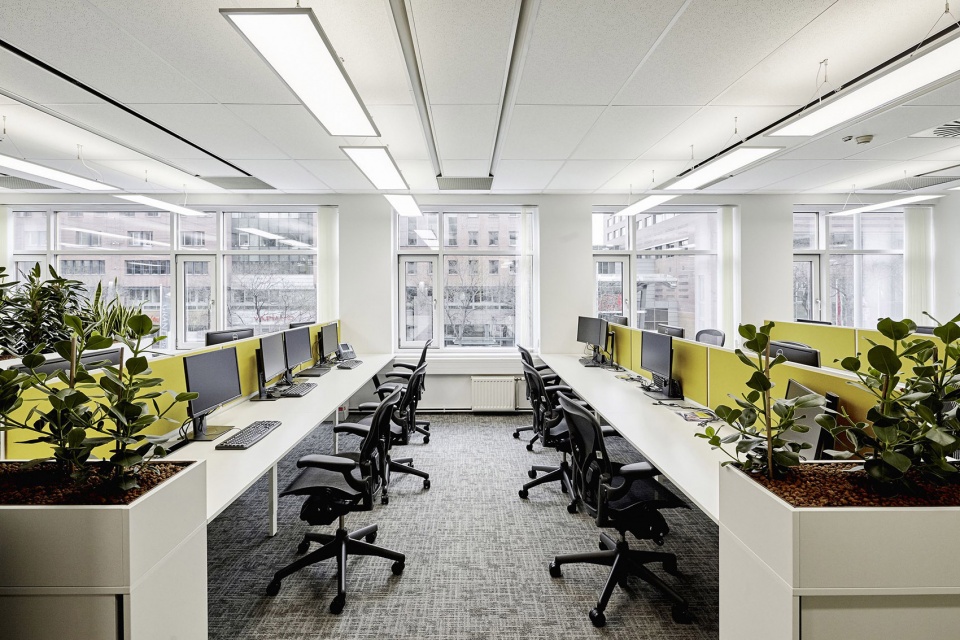 ey offices by lab5 architects