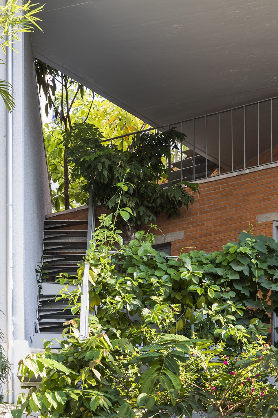 ha house by vtn architects