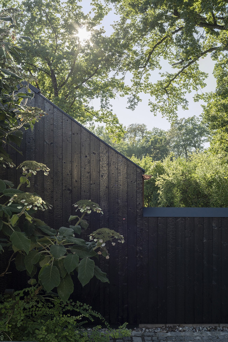 the black house by buero wagner