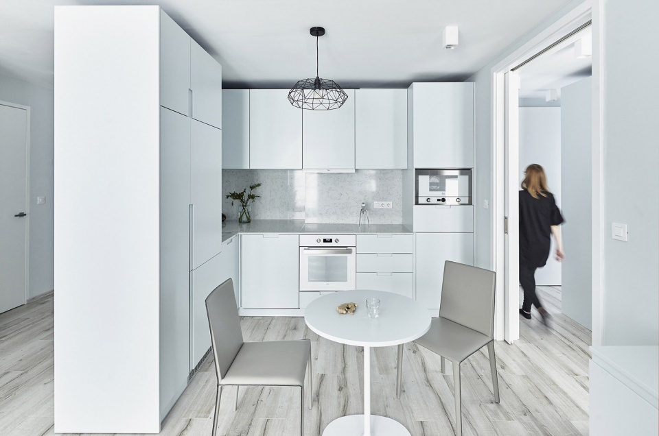 apartment facsemete by lab5 architects