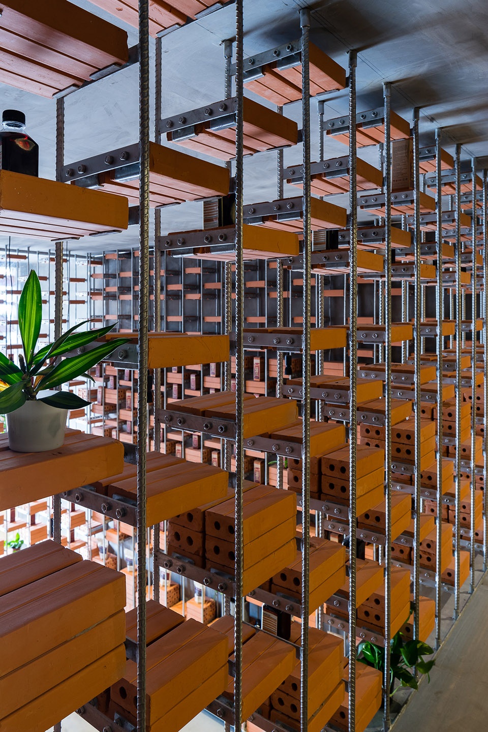 organicare showroom by tropical space