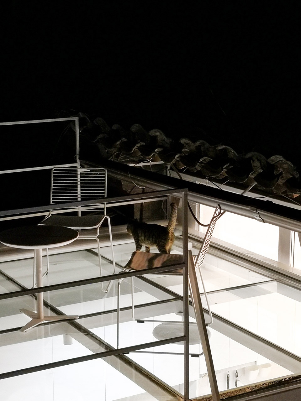 transparent hutong no 3 china by daga architects