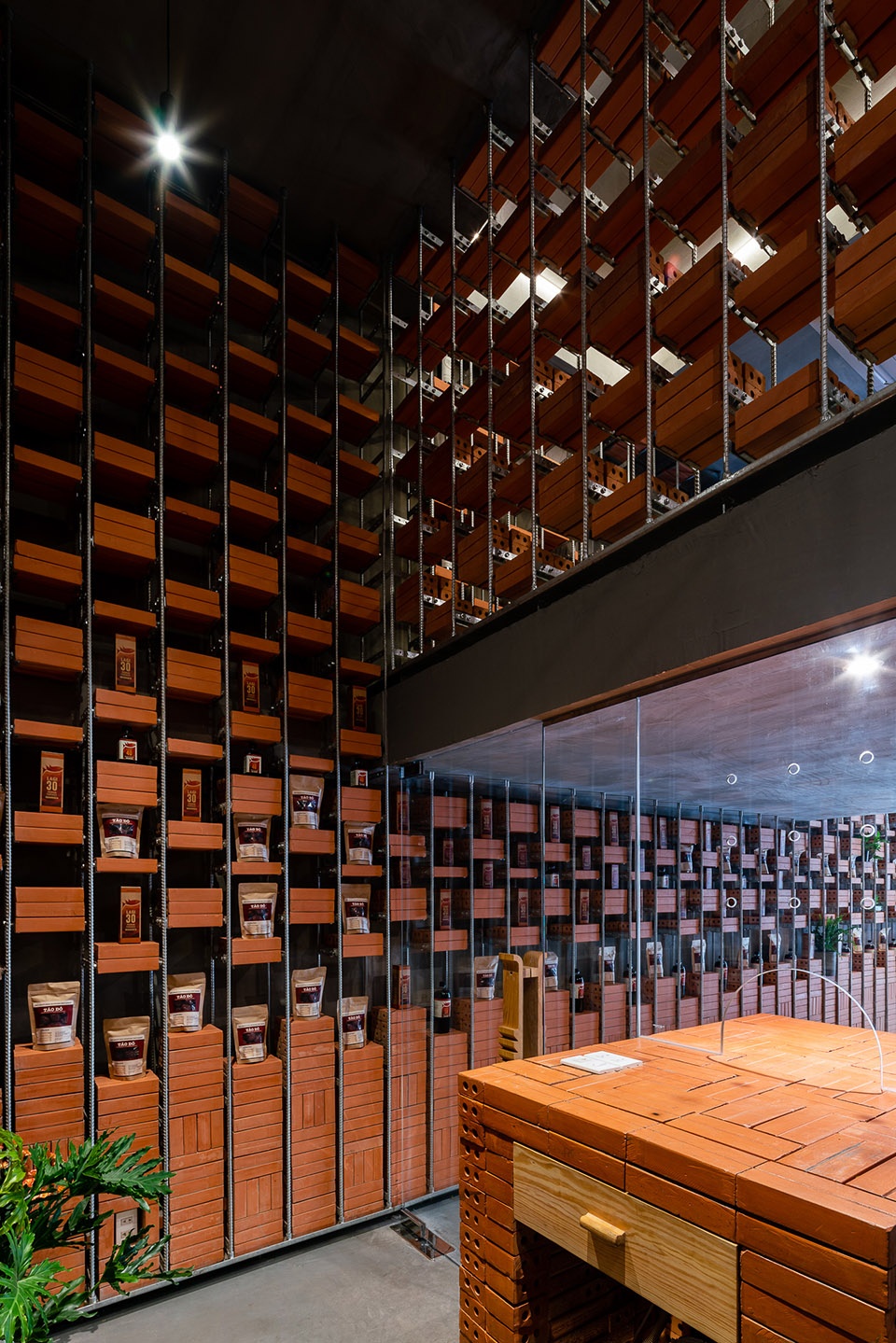 organicare showroom by tropical space