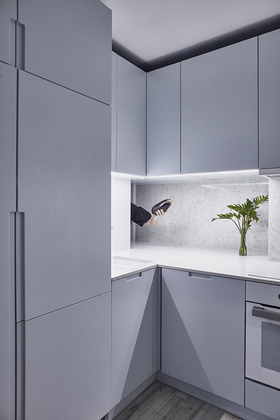 apartment facsemete by lab5 architects