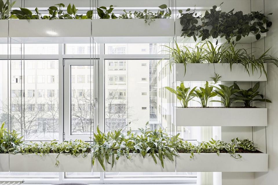 ey offices by lab5 architects