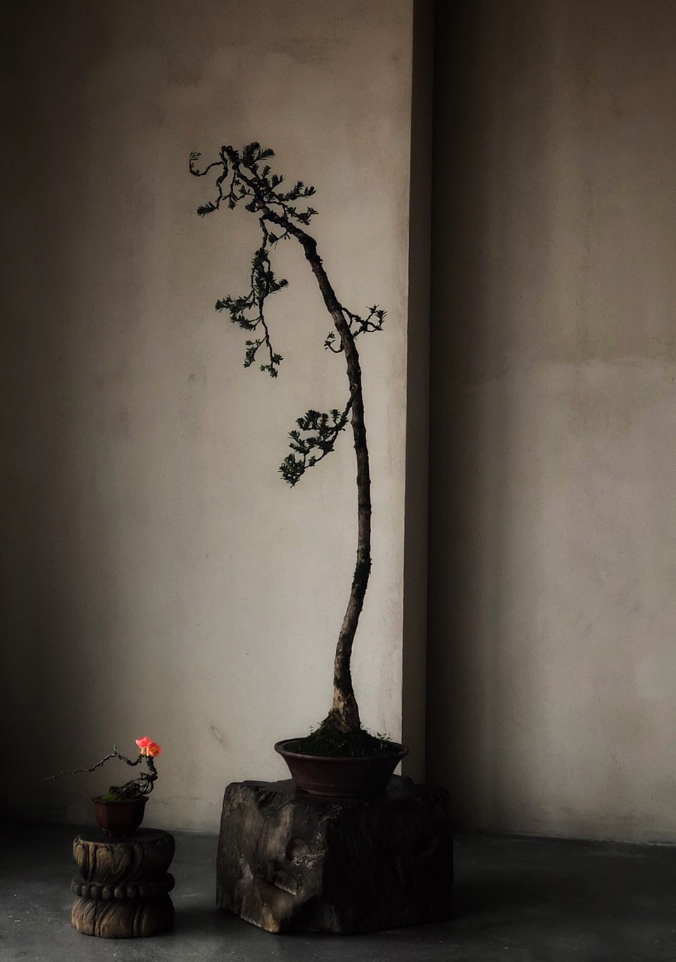 qiyue teahouse china by ksdesign