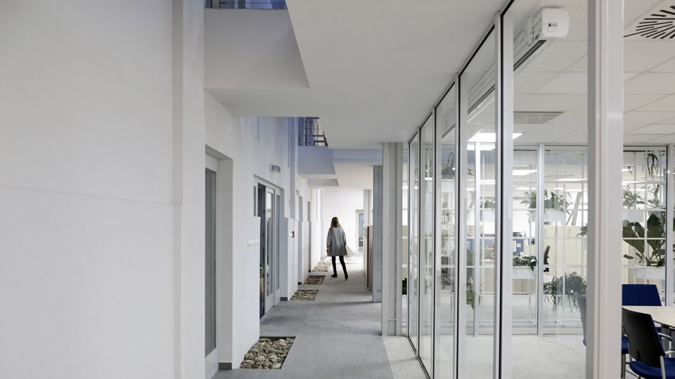 updated interior of a loft office in an old veal market by lab5 architects