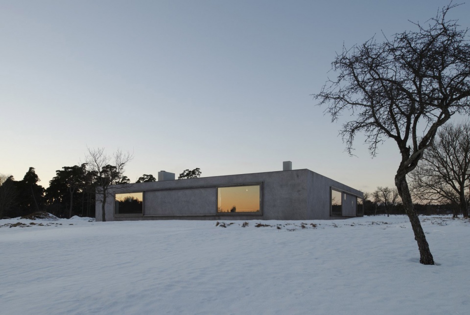 atrium house by tham videgard arkitekter