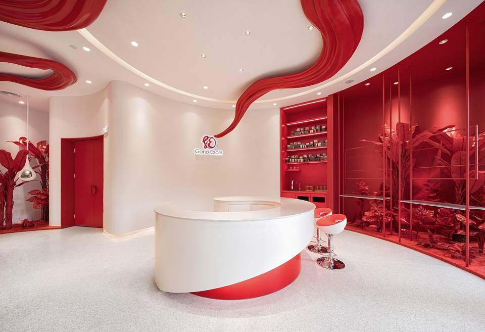 rain forest ganoderma lucidum experience store china by mod