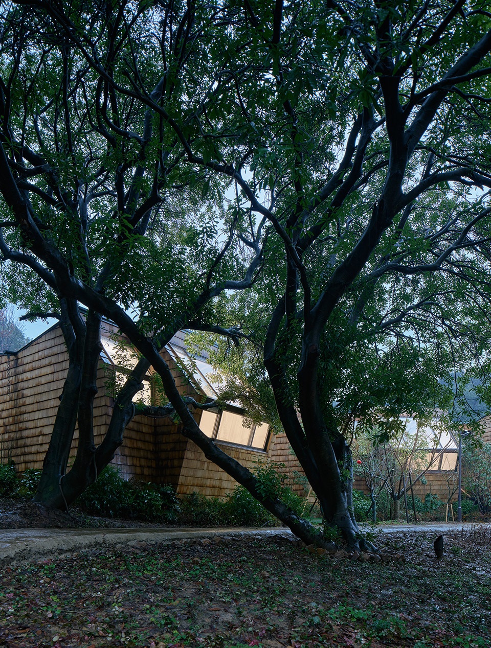 hangzhou senbo resort park star cube china by the desing institute of landscape architecture china academy of art