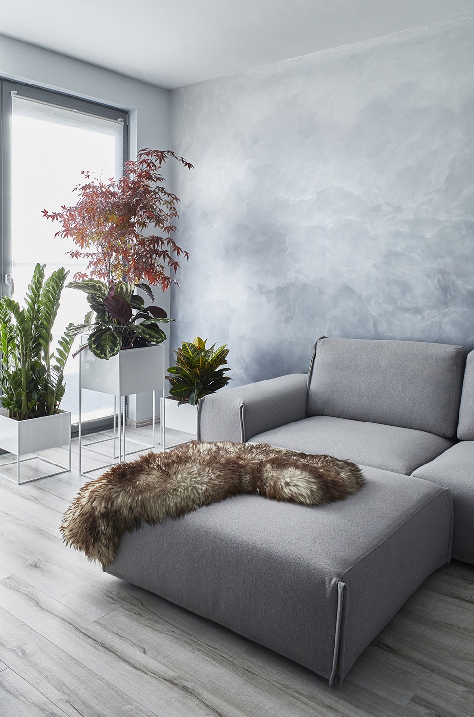 apartment facsemete by lab5 architects