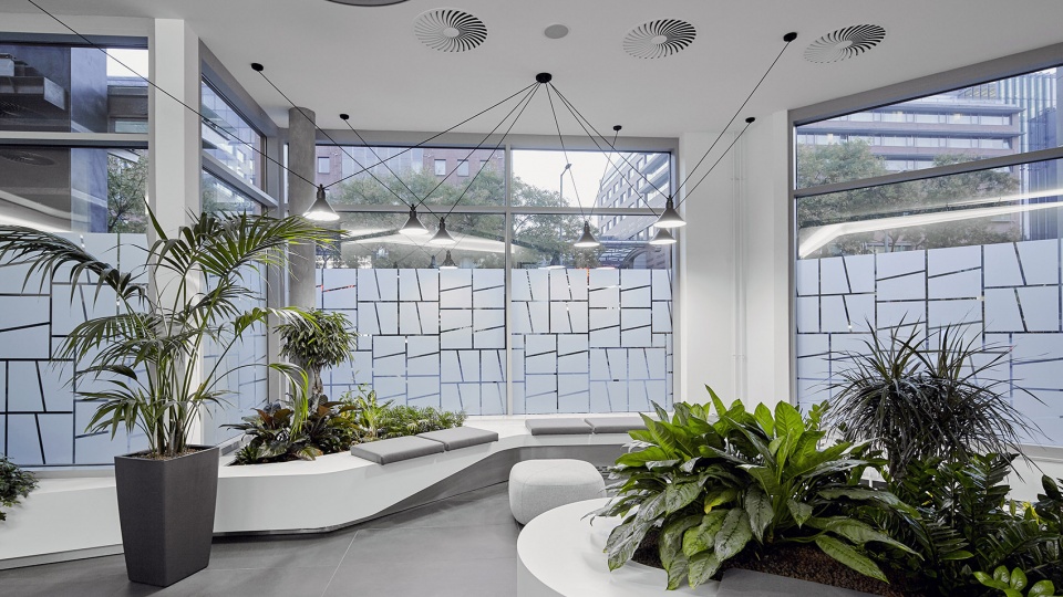 ey offices by lab5 architects