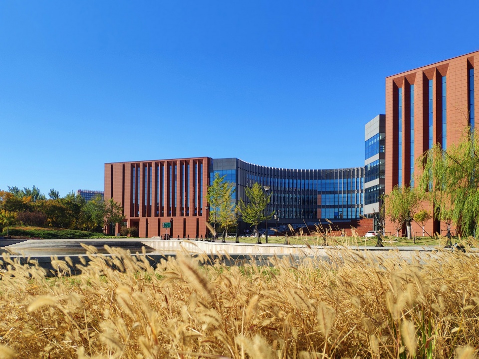 the gymnasium in tianjin university of science technology china by tao zhi studio architectural design and research institute of scut
