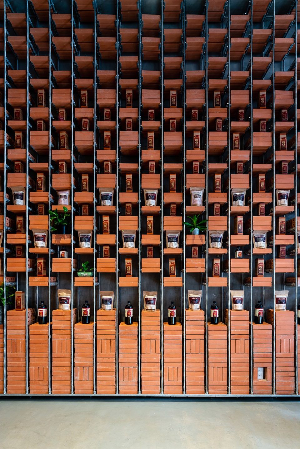 organicare showroom by tropical space