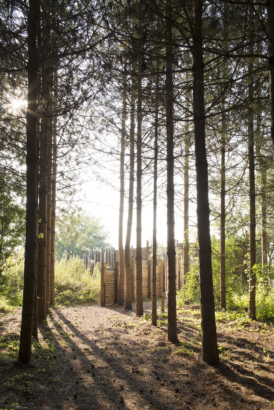 grand voyeux natural reserve by territoires charles henri tachon nicolas granger