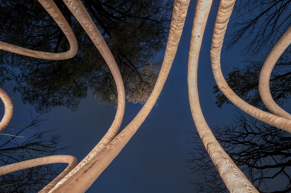 the circular garden by cra carlo ratti associati