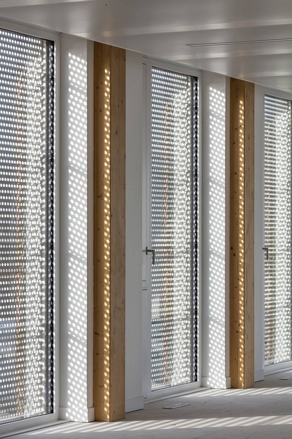 green office enjoy paris batignolles by baumschlager eberle scape