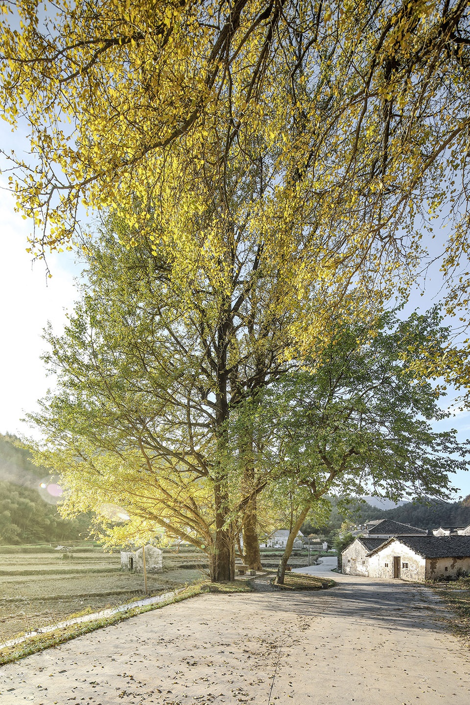 history museum of qifeng village china by sup atelier
