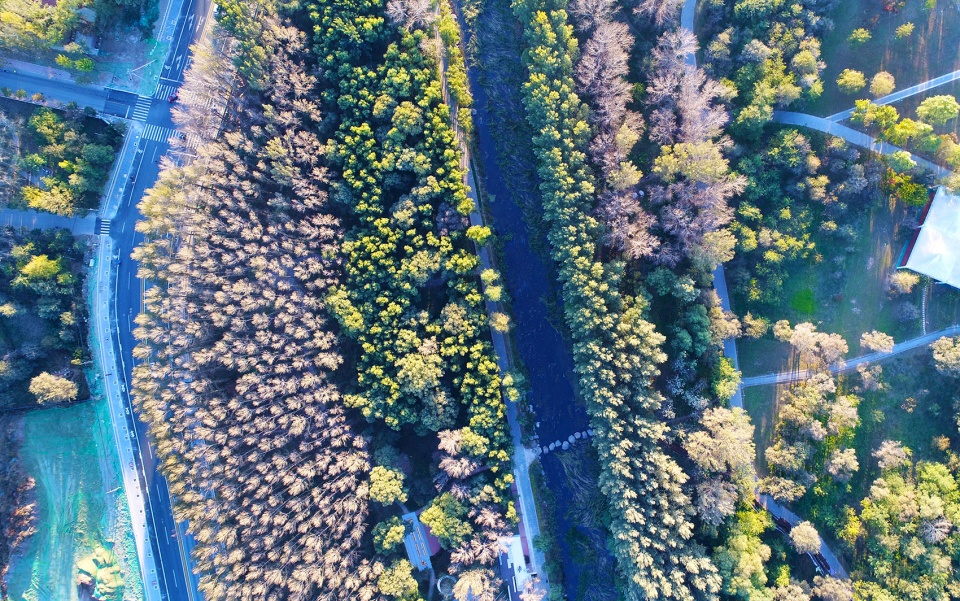 重建儿童与自然的关系 – 环境教育主题城市森林规划设计,北京 / 中国林业科学研究院
自然缺失症的治愈之地