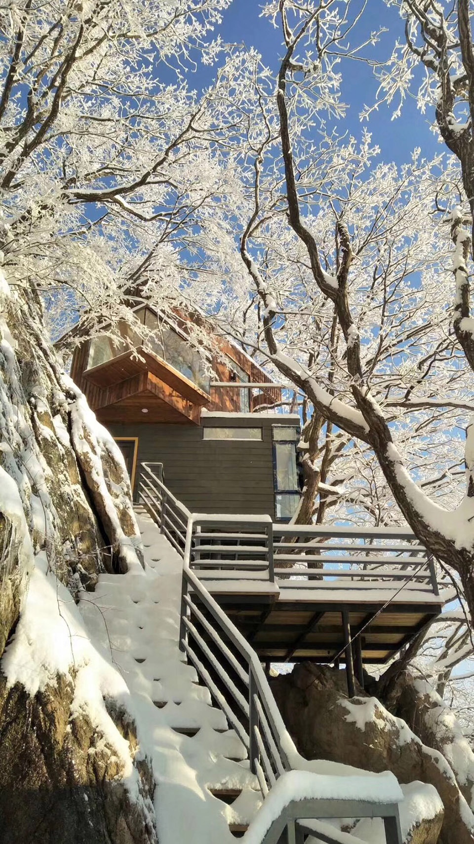 tree house in laojun mountain luoyang china by ojo oyo prelab