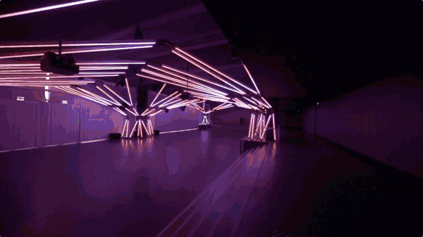 rhizomatic grid for terminal 7 club by estudio guto requena