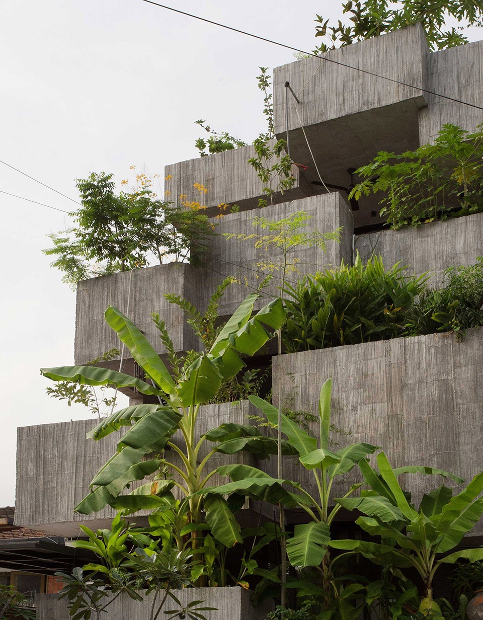 planter box house by formzero