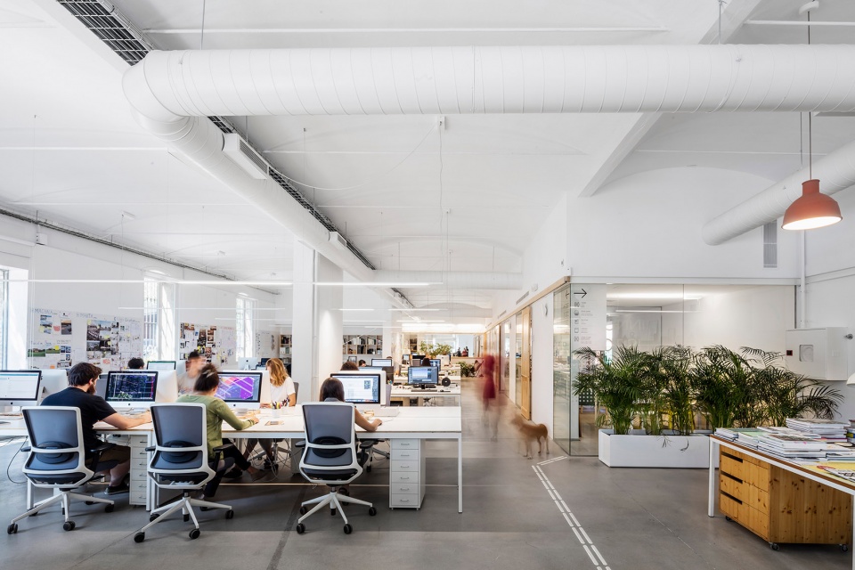 the new office of pmmt arquitectura by pmmt arquitectura