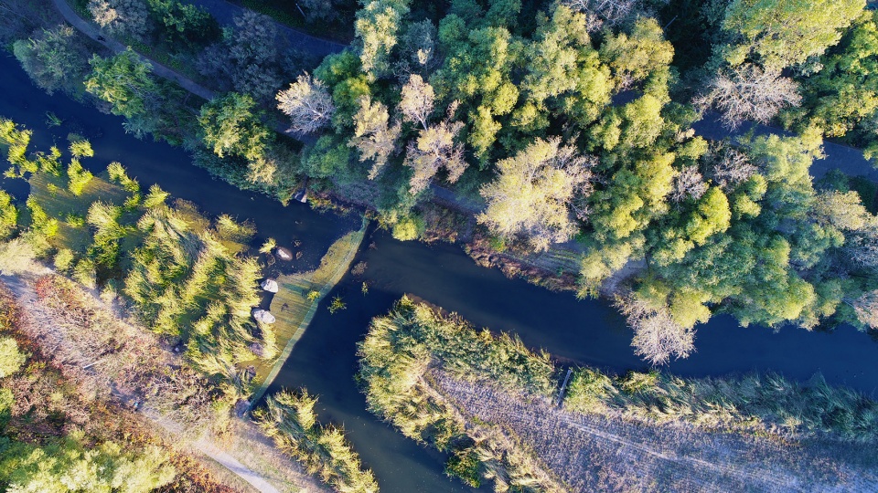 reconnect children with nature urban forest planning and design with the theme of environmental education china by chinese academy of for...