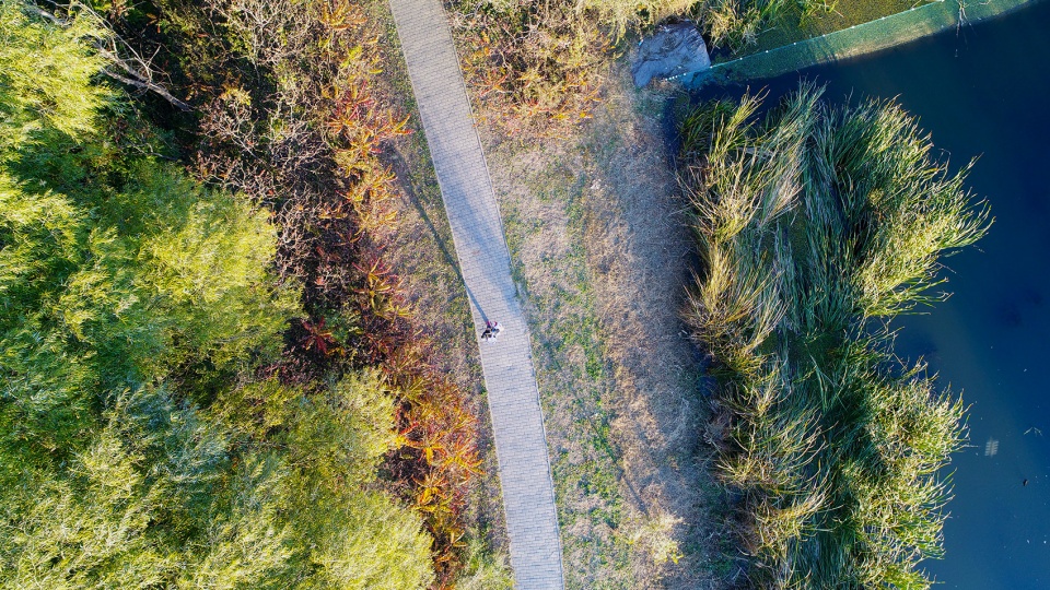 reconnect children with nature urban forest planning and design with the theme of environmental education china by chinese academy of for...