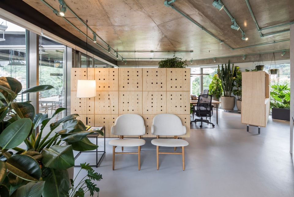 rizoma by estudio penha
