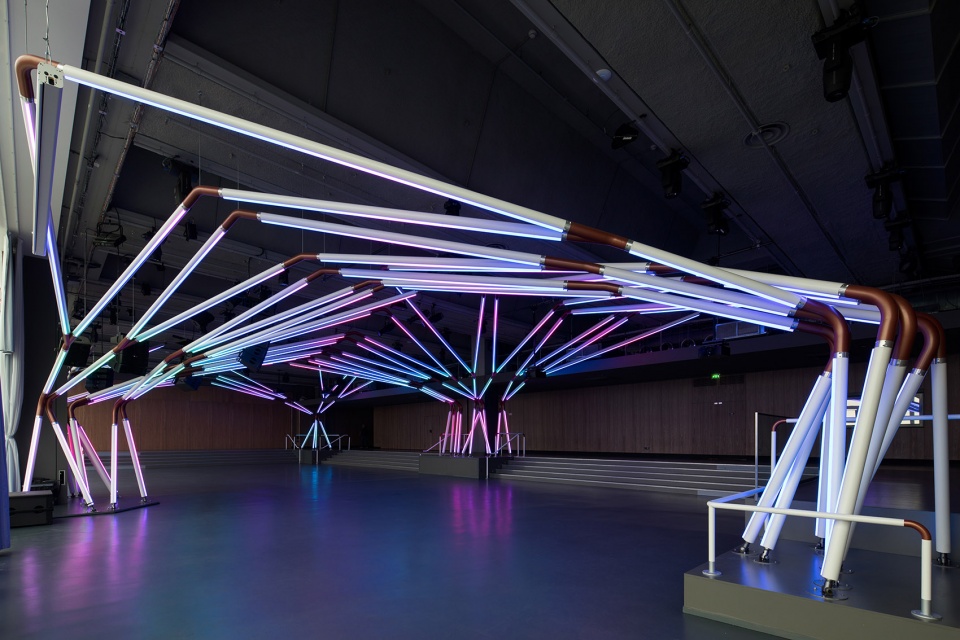 rhizomatic grid for terminal 7 club by estudio guto requena