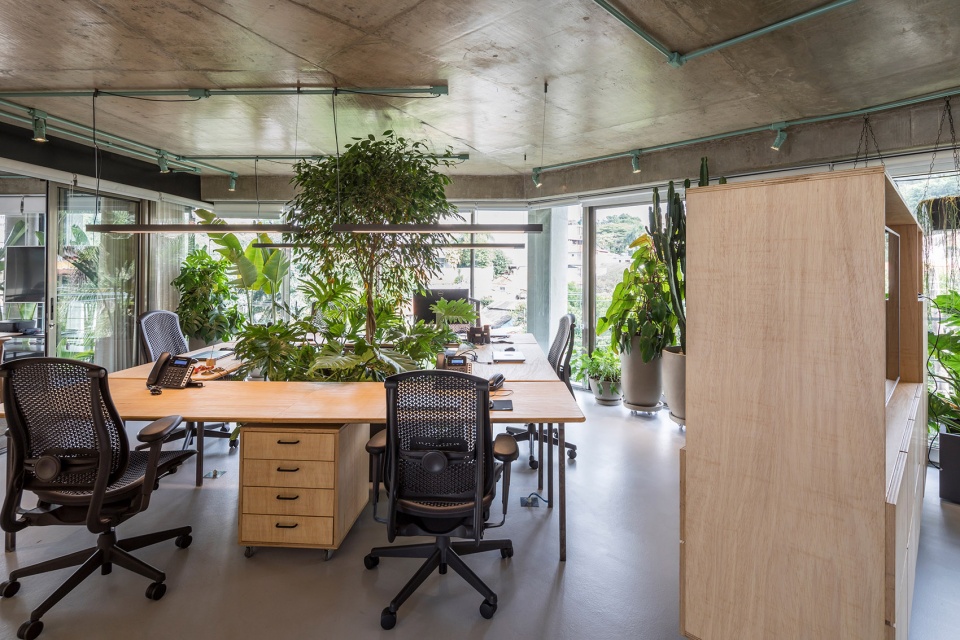 rizoma by estudio penha