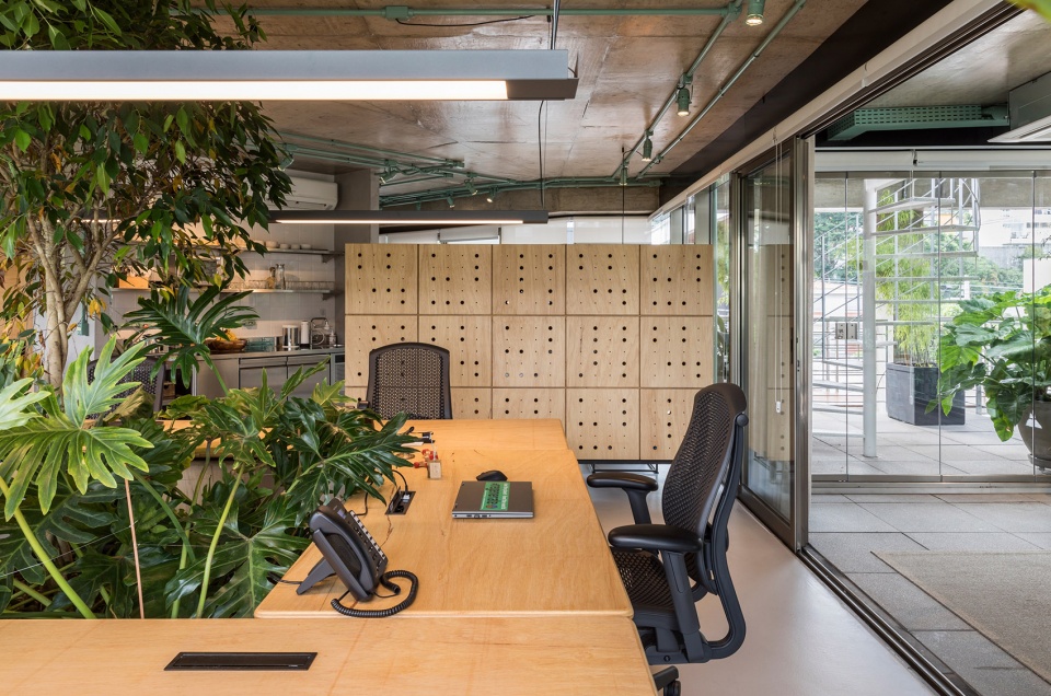rizoma by estudio penha