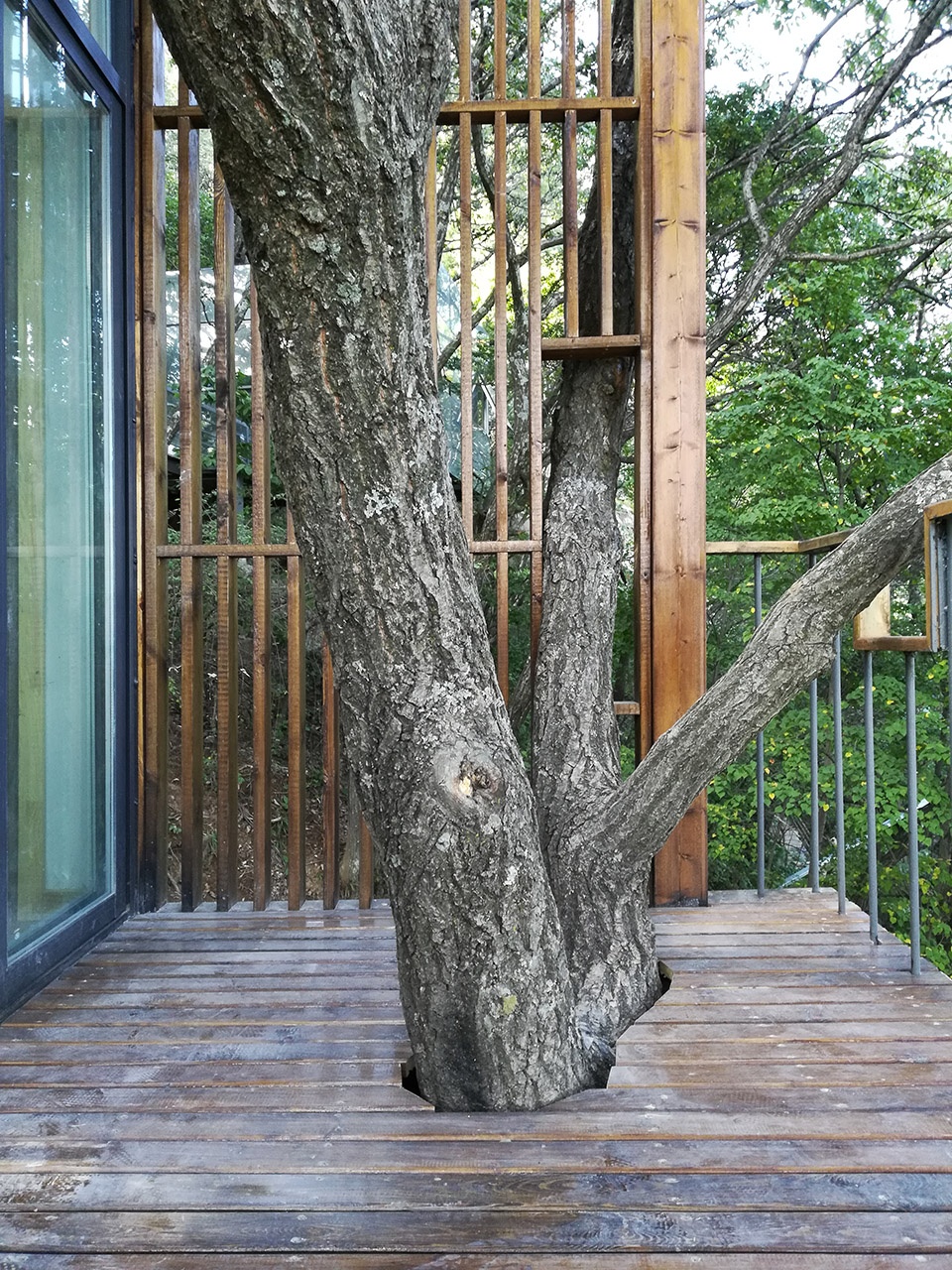 tree house in laojun mountain luoyang china by ojo oyo prelab