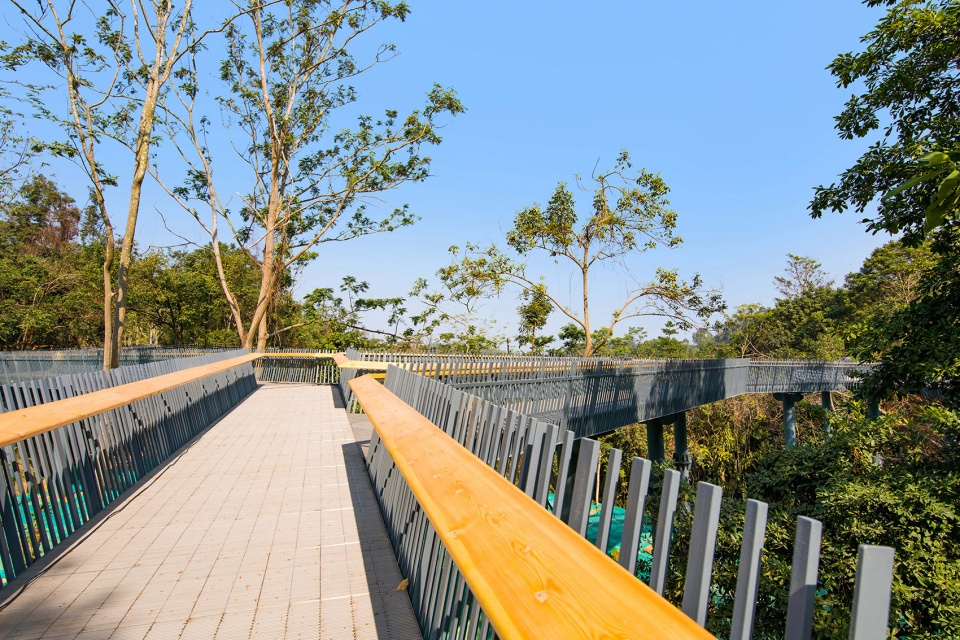 shenzhen longhua greenway yangtaishan section china by lay out planning consultants co ltd