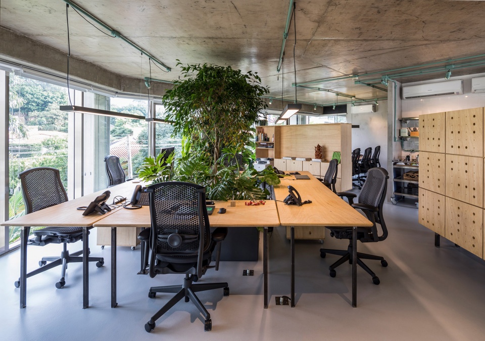 rizoma by estudio penha